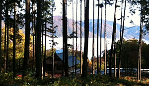 いわみ里山から雲海を見下す