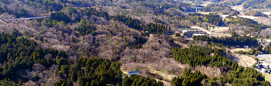 いわみ里山上空から